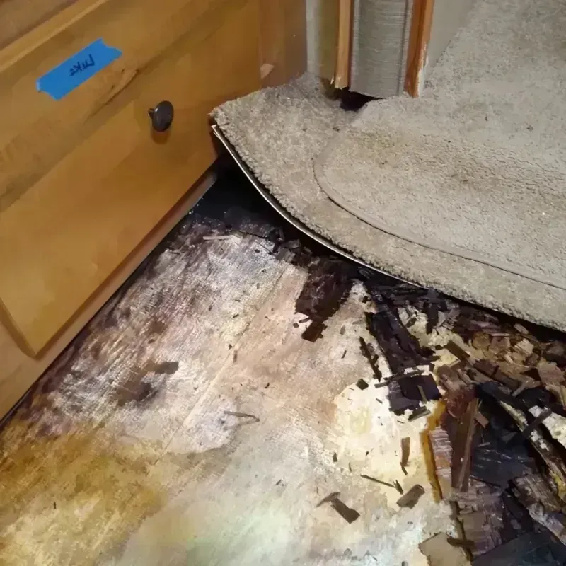 Wood Floor Water Damage in Denali Borough, AK